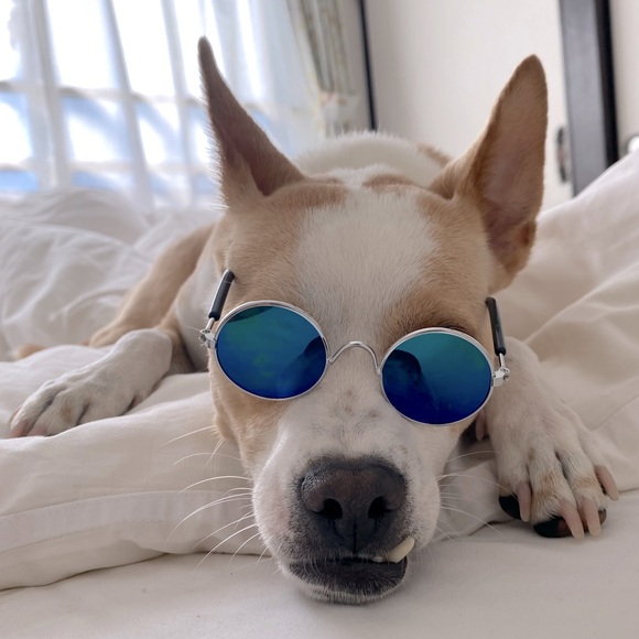 Meet your Posher, Cassie - Picture 1 of 1